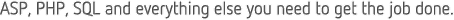 ASP, PHP, SQL and everything else you need to get the job done.
